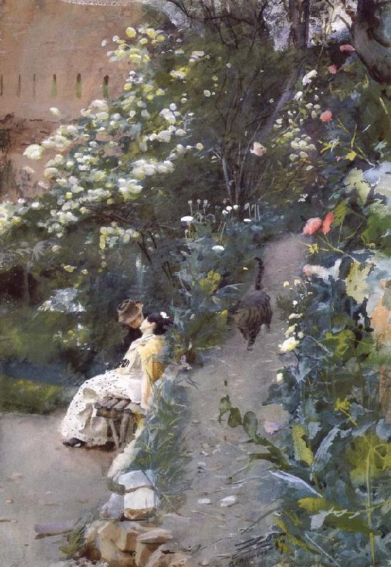 Anders Zorn Unknow work 41 oil painting image